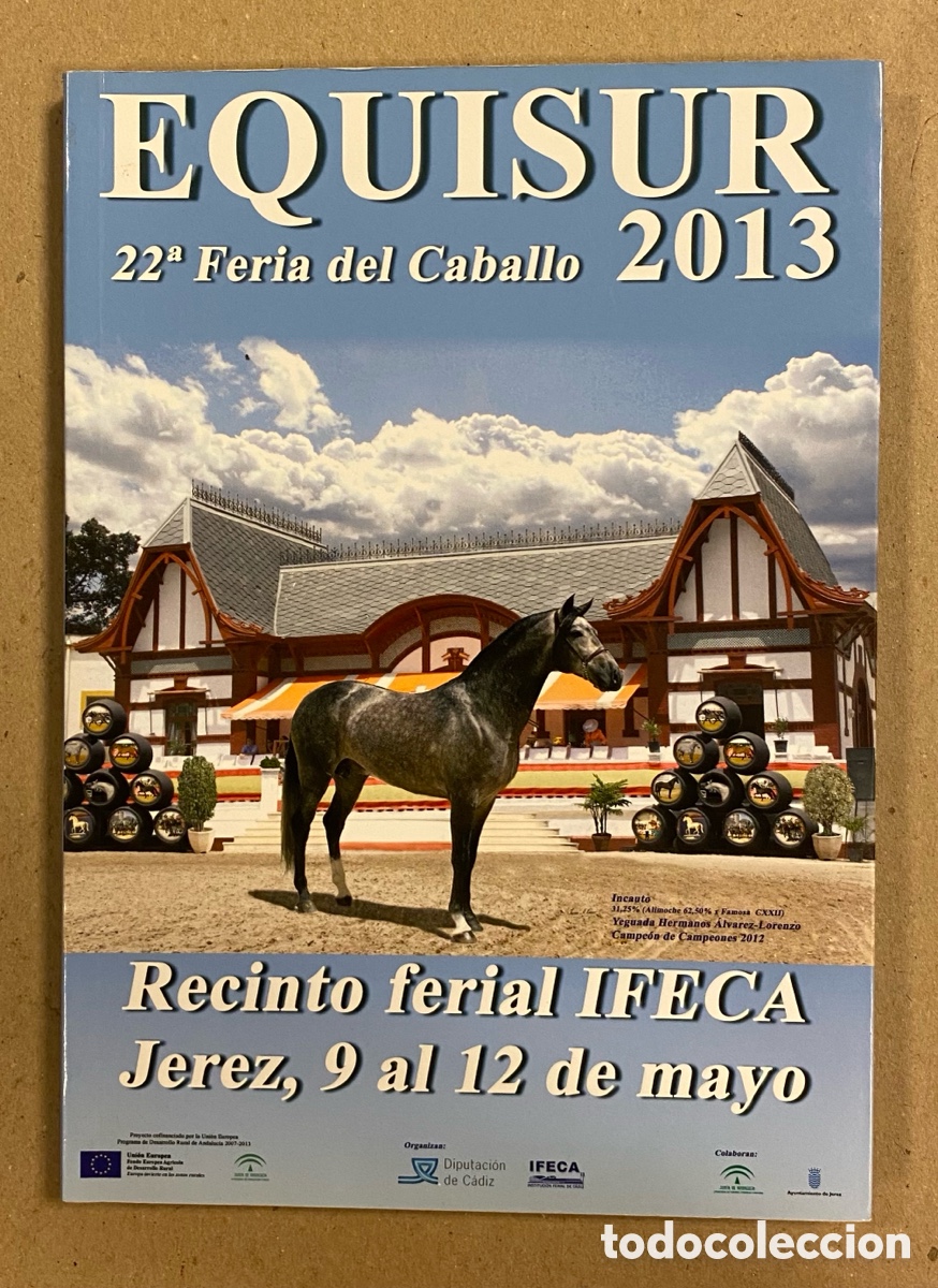 Libri di seconda mano: CAT&Aacute;LOGO OFICIAL EQUISUR 2013 22&ordf; FERIA DEL CABALLO JEREZ DE LA FRONTERA (C&Aacute;DIZ).
