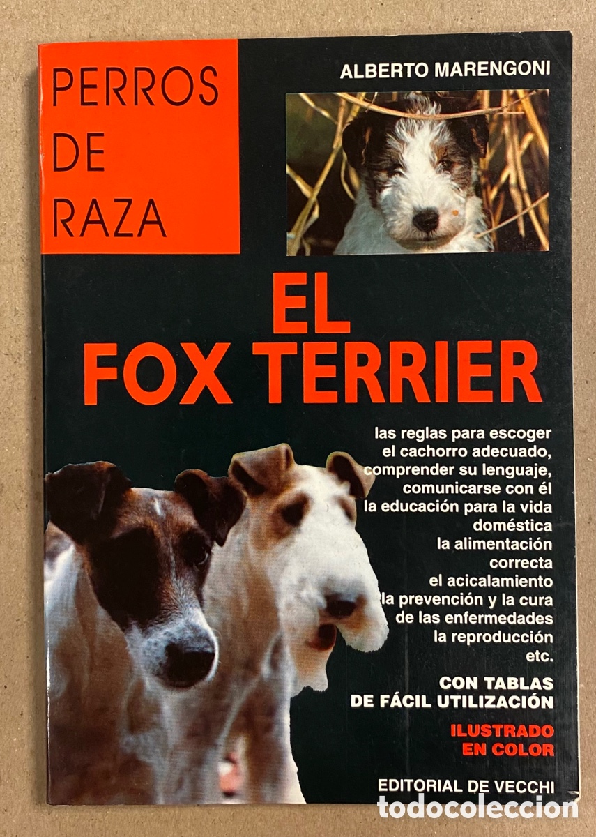 Libros: EL FOX TERRIER. ALBERTO MARENGONI. EDITORIAL DE VECCHI 1998. COLECCI&Oacute;N PERROS DE RAZA. - Foto 1