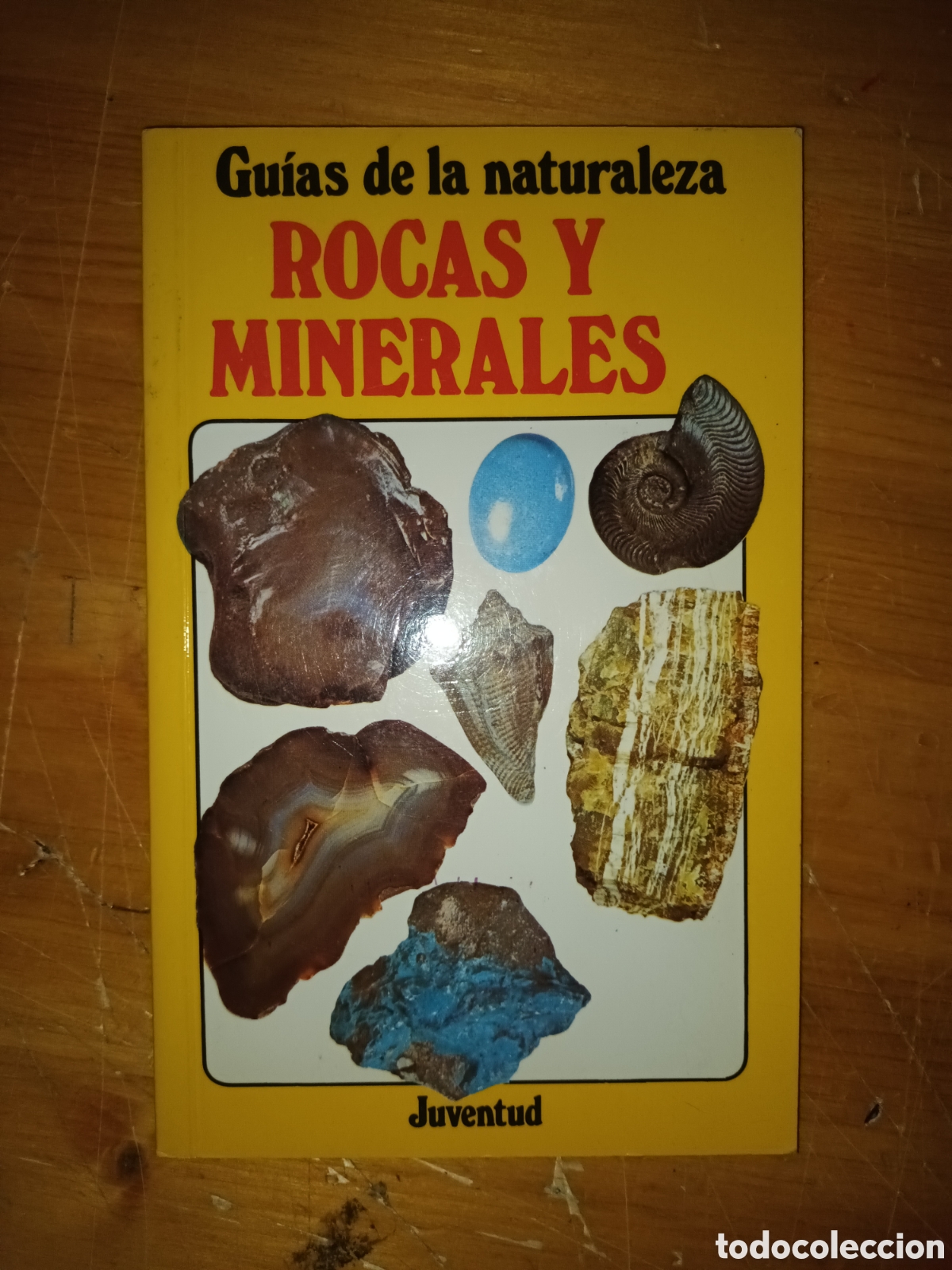 Libro Rocas y Minerales. Guías de la Naturaleza (Guías del