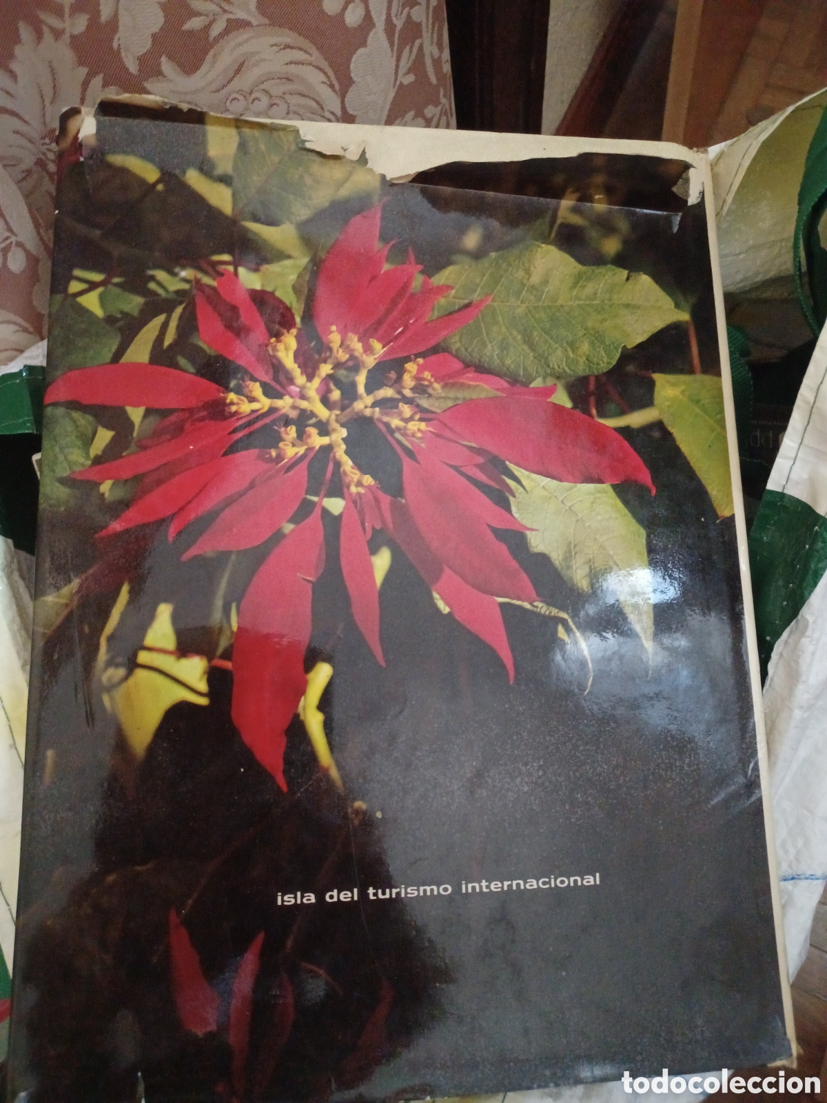 Libros: Barybook 322. Tenerife en color romerman - Foto 3