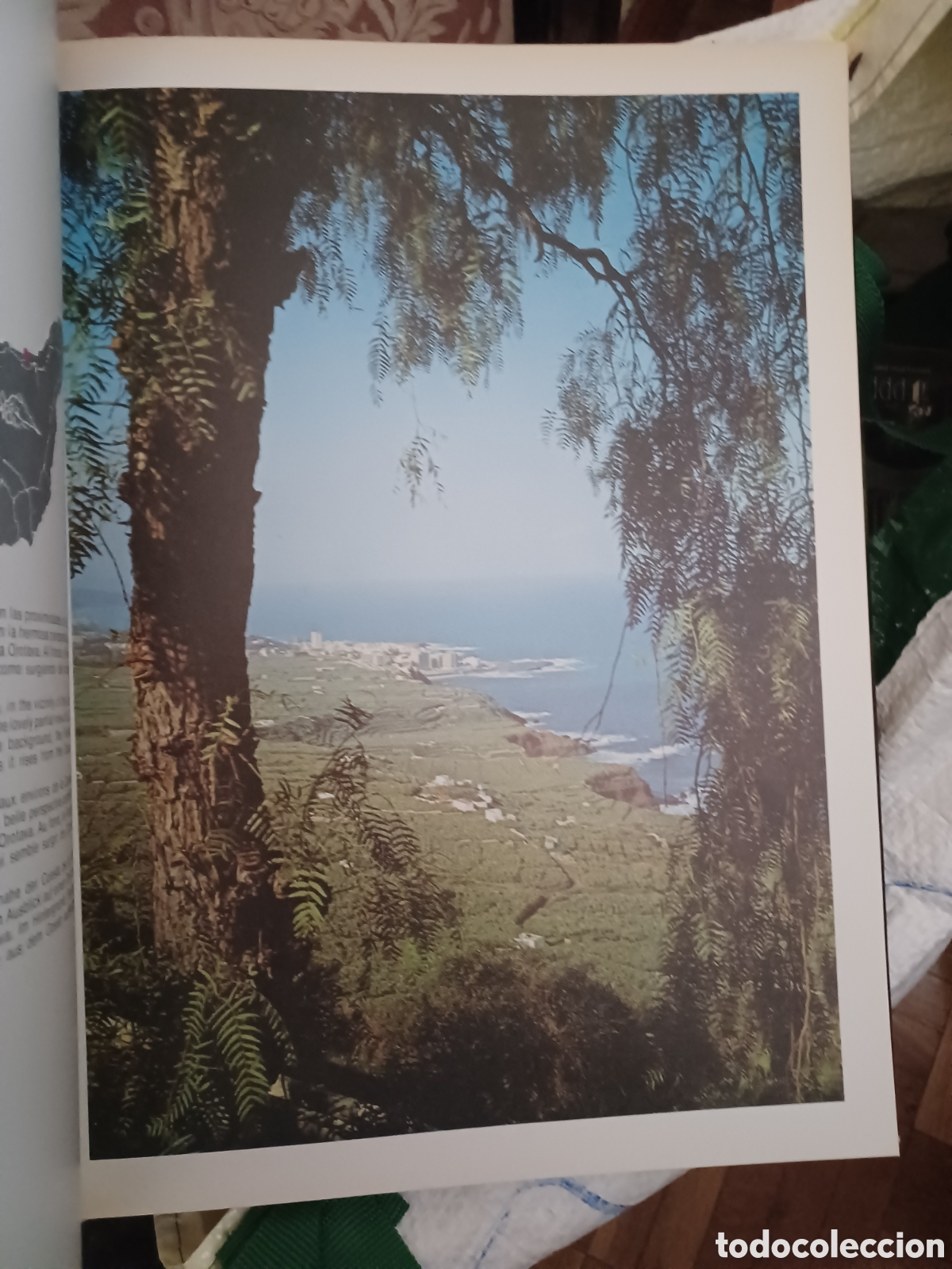 Libros: Barybook 322. Tenerife en color romerman - Foto 4