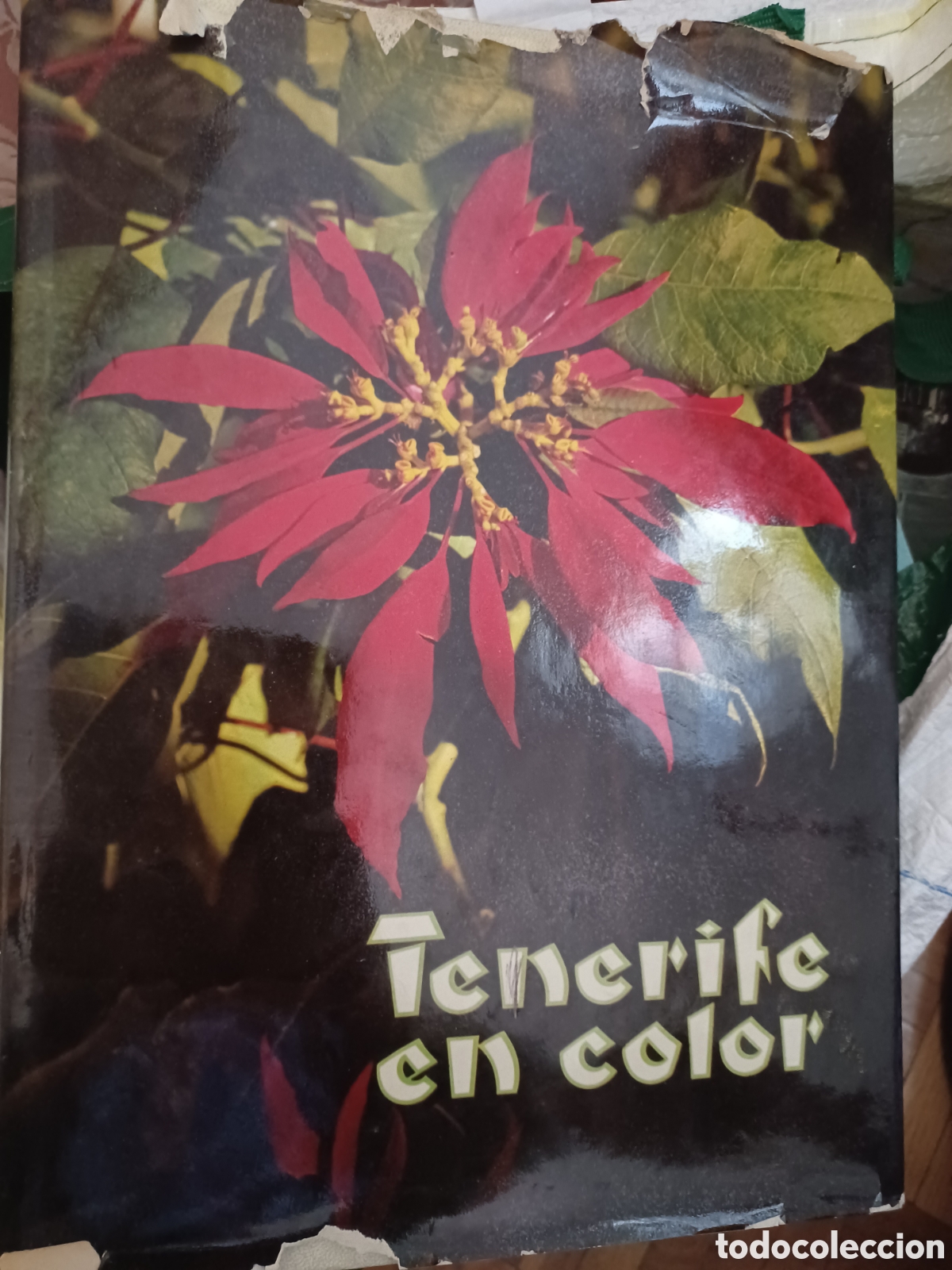 Libros: Barybook 322. Tenerife en color romerman - Foto 1