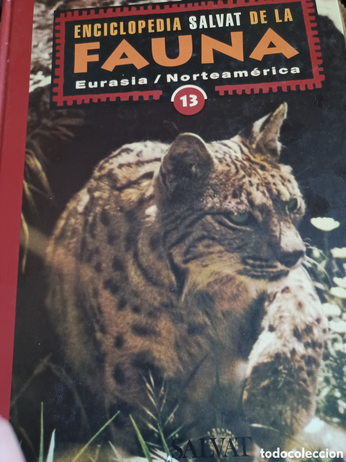 B&uuml;cher: Barybook Enciclopedia Salvat de la fauna n&uacute;mero 13 Eurasia Norteam&eacute;rica