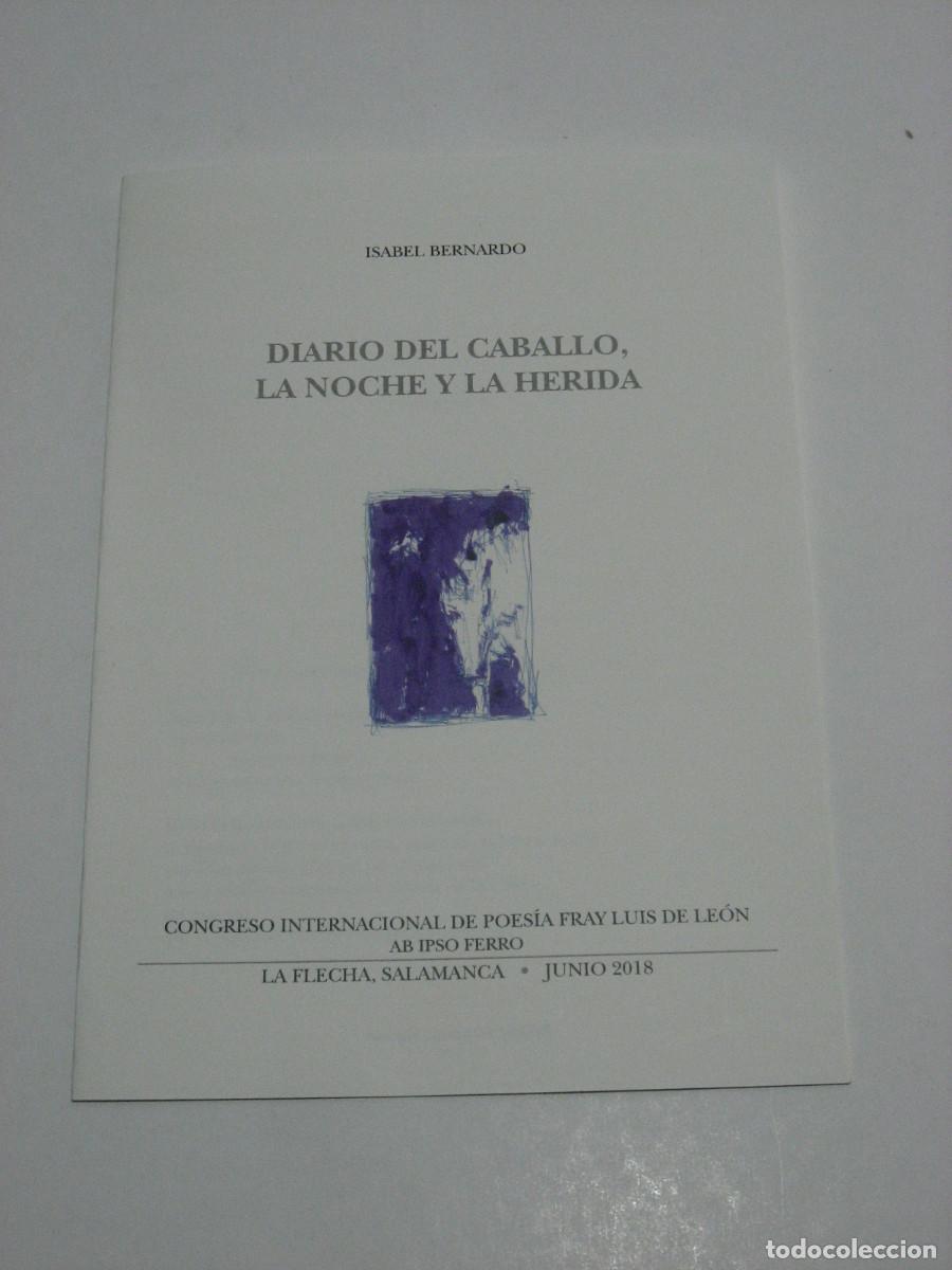 Libros: DIARIO DEL CABALLO, LA NOCHE Y LA HERIDA - Isabel Bernardo - Foto 1