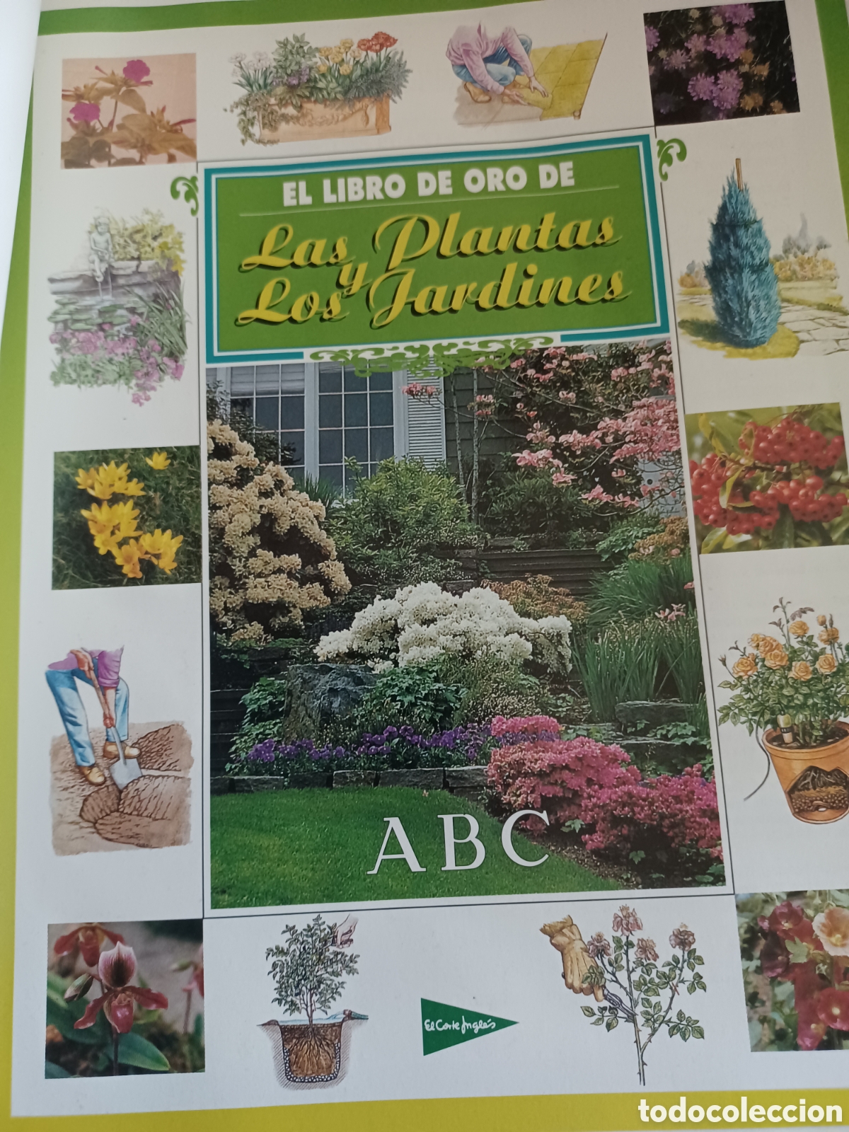 Libros: Barybook El Libro de Oro de las planta y los jardines ABC - Foto 2