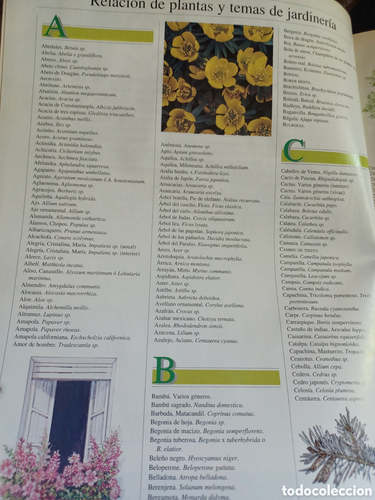 Libros: Barybook El Libro de Oro de las planta y los jardines ABC - Foto 3
