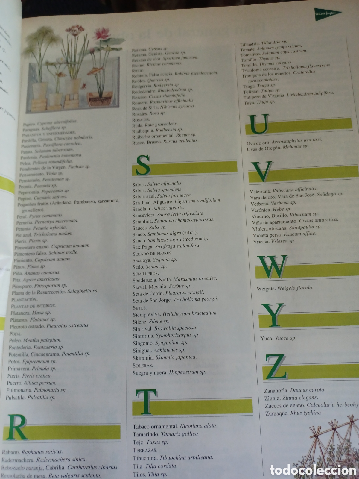 Libros: Barybook El Libro de Oro de las planta y los jardines ABC - Foto 6