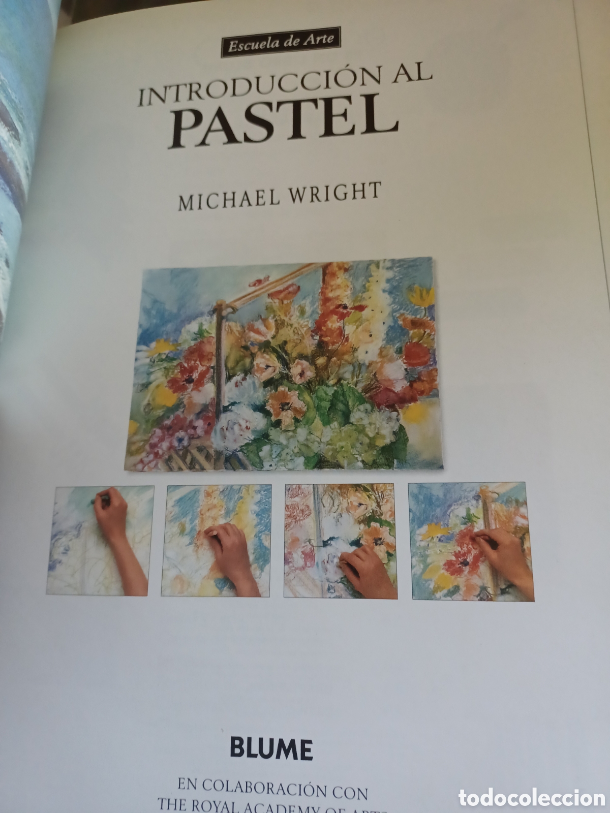 Libros: Barybook 143 Introducci&oacute;n al pastel Escuela de Arte Michael Wright Blume - Foto 3