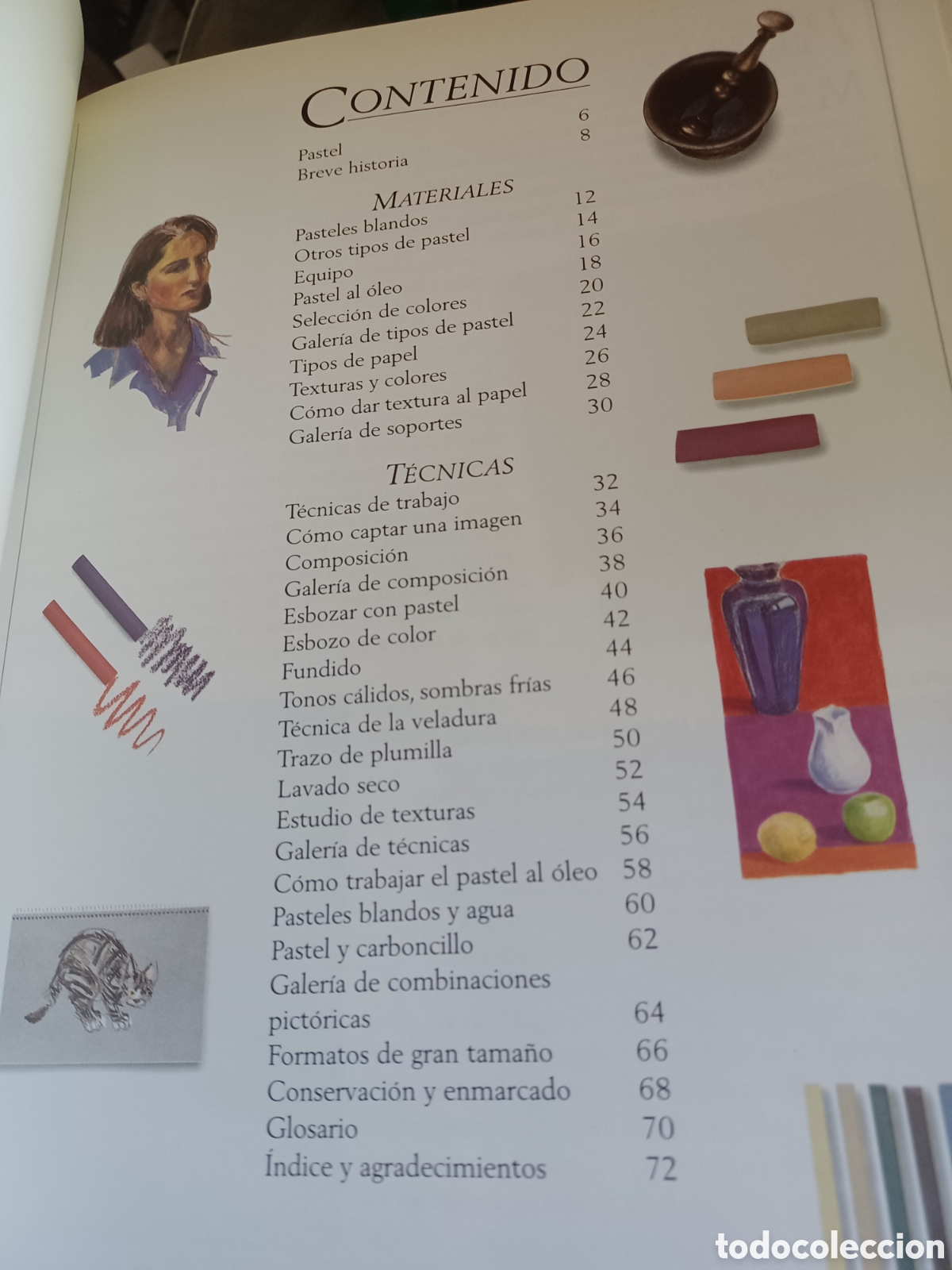 Libros: Barybook 143 Introducci&oacute;n al pastel Escuela de Arte Michael Wright Blume - Foto 4