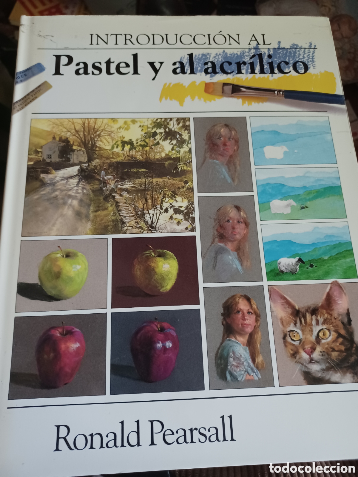 Libros: Barybook C75. Introducci&oacute;n al pastel y al acr&iacute;lico Ronald pearsall - Foto 1