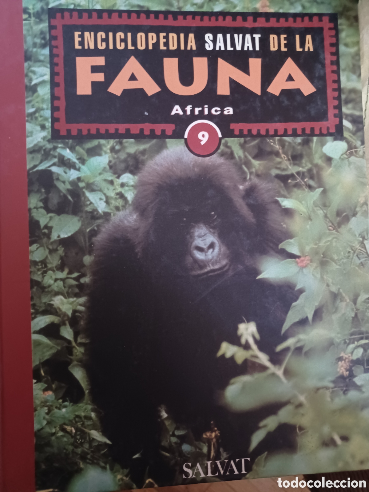Livres: Barybook Enciclopedia selva de la fauna &Aacute;frica nueve