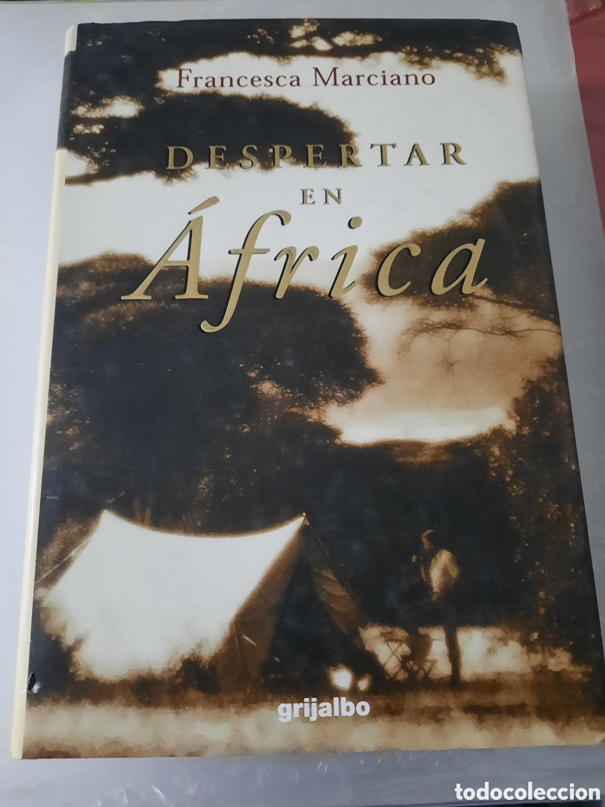Libros: Despertar en &Aacute;frica - Foto 1