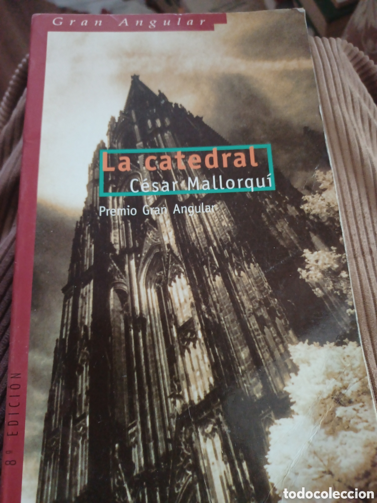 Libros: Barybook 7 La catedral C&eacute;sar Mallorqu&iacute; gran angular sm 202 - Foto 1
