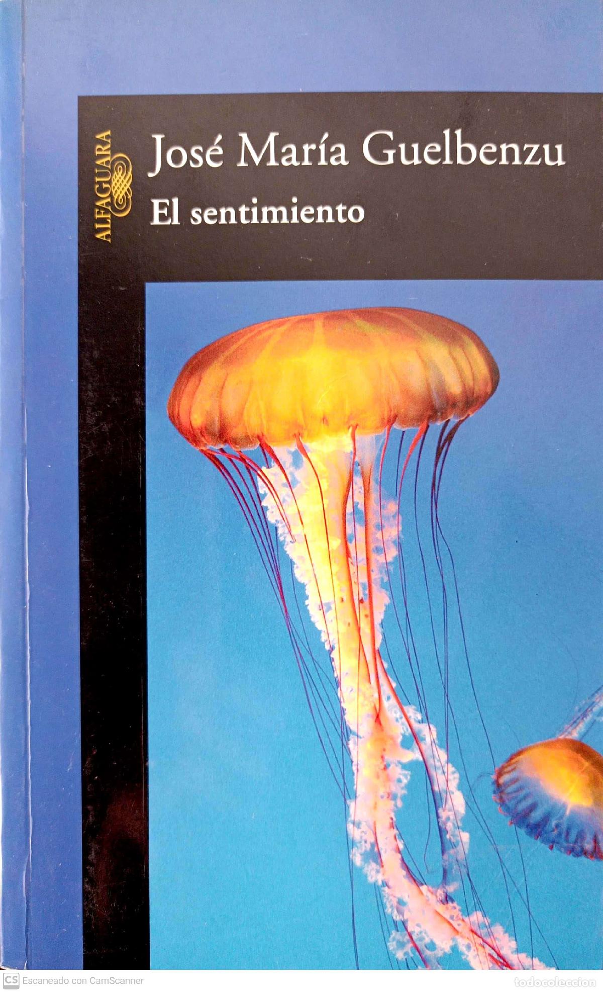 Libros: El sentimiento - Jos&eacute; Mar&iacute;a Guelbenzu - Foto 1