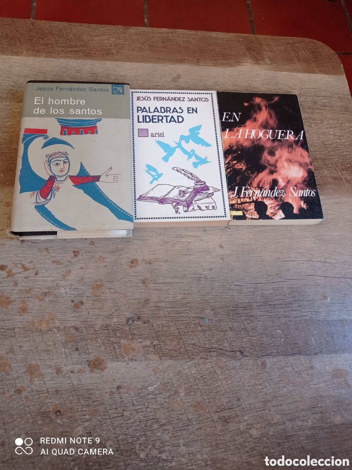 Libros: Libros de Jes&uacute;s Fern&aacute;ndez santos - Foto 1
