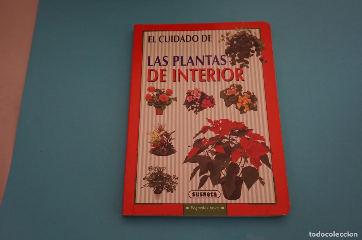 Libros: AR17B/ EL CUIDADO DE LAS PLANTAS DE INTERIOR / SUSAETA - Foto 1