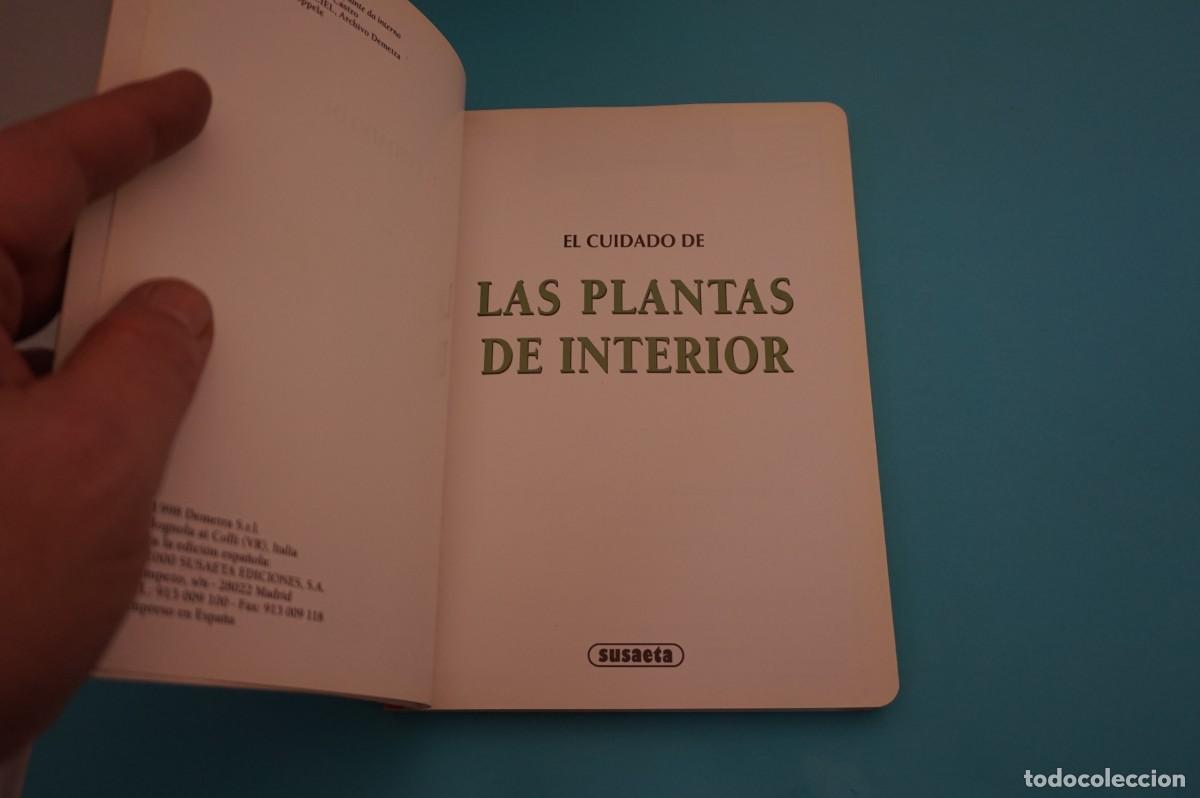 Libros: AR17B/ EL CUIDADO DE LAS PLANTAS DE INTERIOR / SUSAETA - Foto 2
