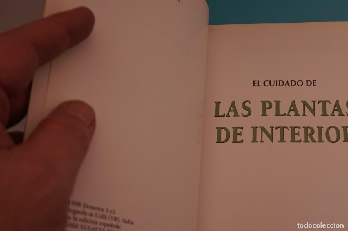 Libros: AR17B/ EL CUIDADO DE LAS PLANTAS DE INTERIOR / SUSAETA - Foto 3