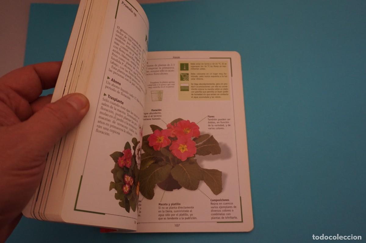 Libros: AR17B/ EL CUIDADO DE LAS PLANTAS DE INTERIOR / SUSAETA - Foto 4