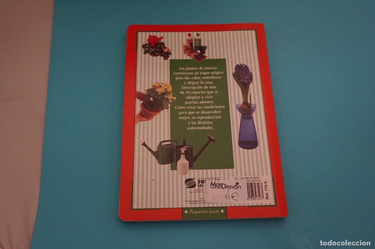 Libros: AR17B/ EL CUIDADO DE LAS PLANTAS DE INTERIOR / SUSAETA - Foto 6