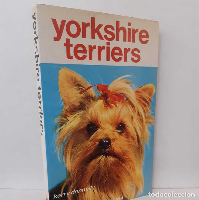 Libros: YORKSHIRE TERRIERS - DONNELLY, KERRY - Foto 1