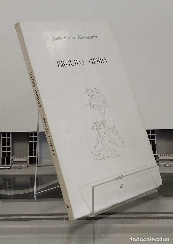 Libros: Erguida tierra - Jos&eacute; Javier Aleixandre - Foto 1