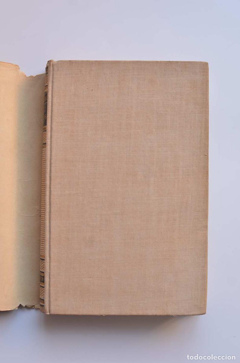 Libros: La voz ausente - CLARAS&Oacute;, Noel - Foto 2