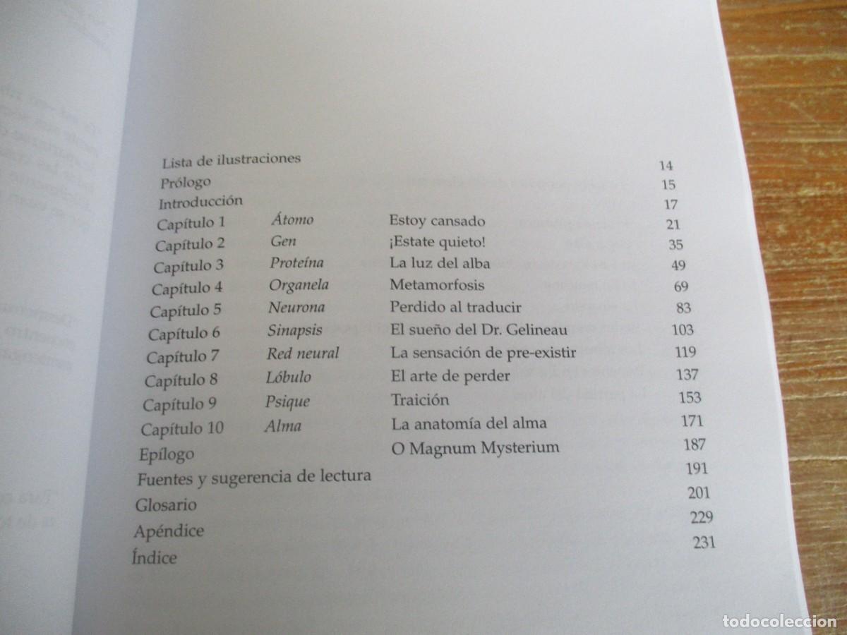 Libros: ADAM ZEMAN Retrato del cerebro W18567 - Foto 2