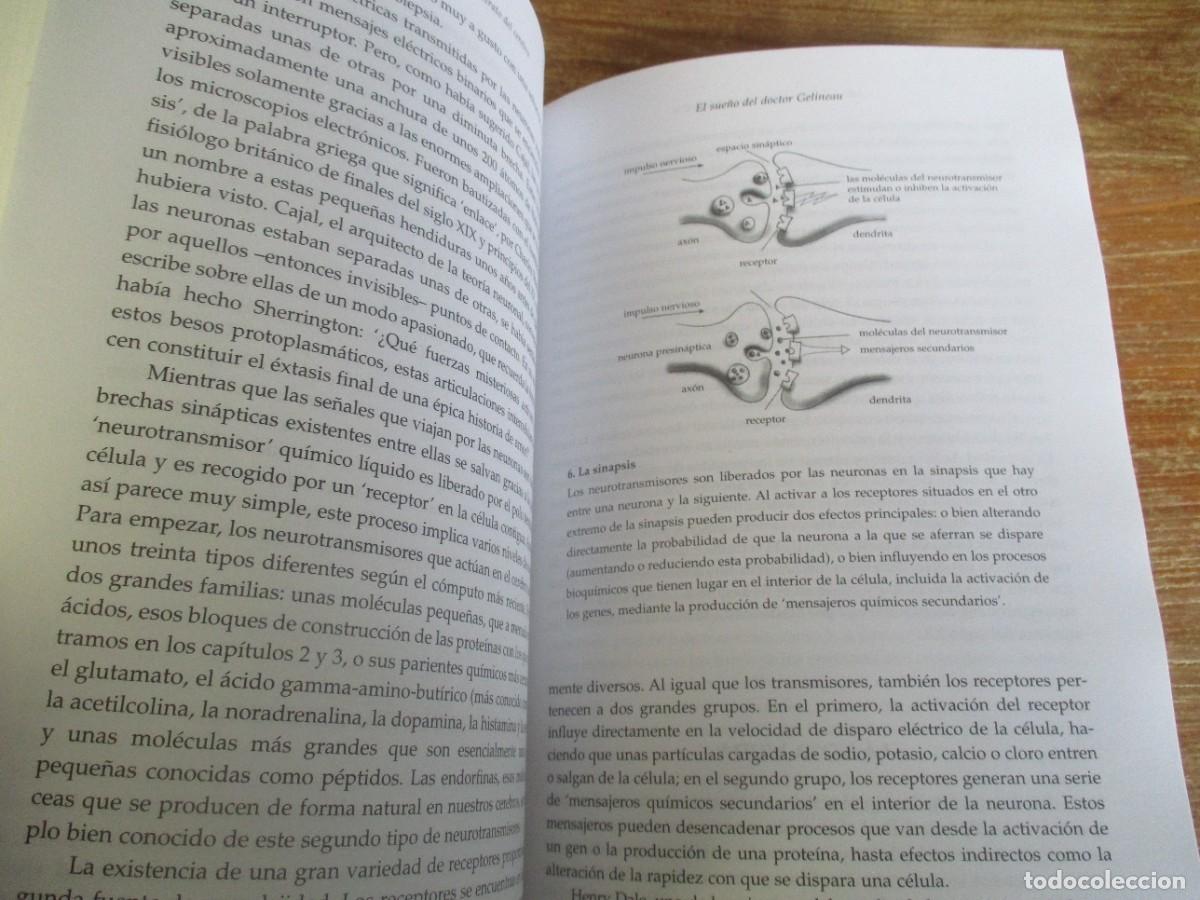 Libros: ADAM ZEMAN Retrato del cerebro W18567 - Foto 4