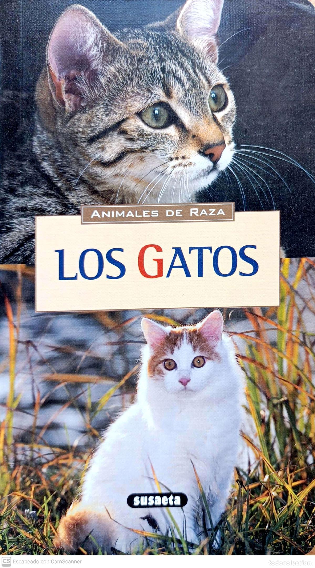 Libros: Los gatos - Hubert, Marie-Luce - Foto 1
