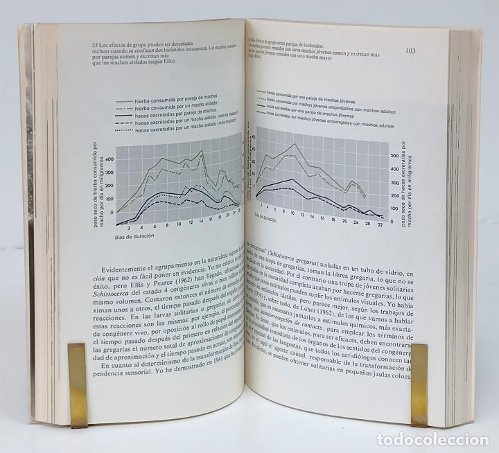 Libros: CHAUVIN (R&eacute;my). El mundo de los insectos - Foto 4