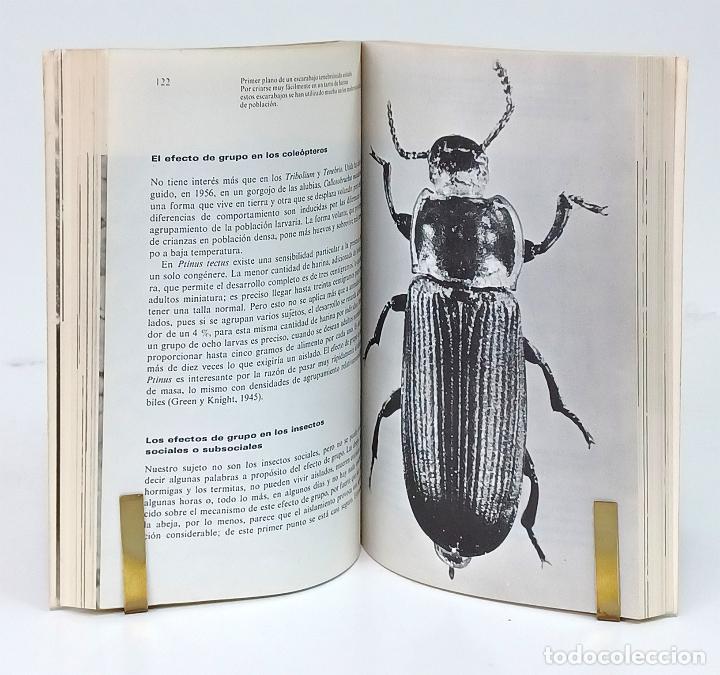 Libros: CHAUVIN (R&eacute;my). El mundo de los insectos - Foto 5