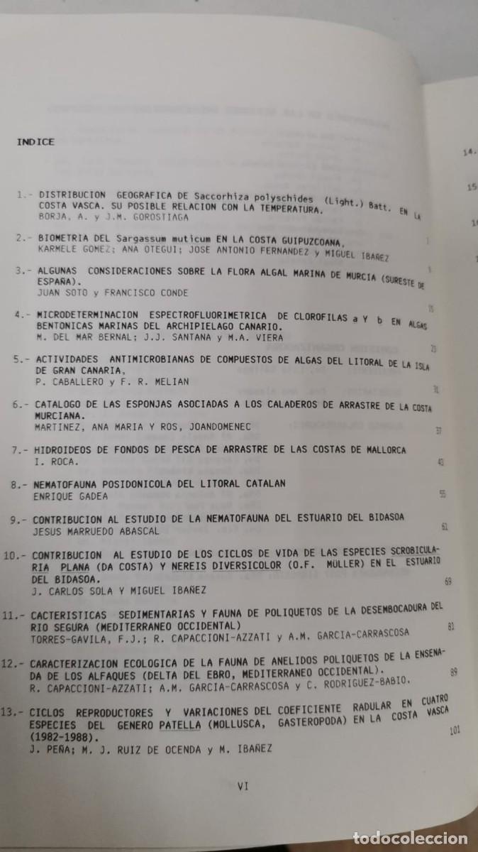 Libros: Bentos VI - Luis Gallego Castej&oacute;n - Foto 2