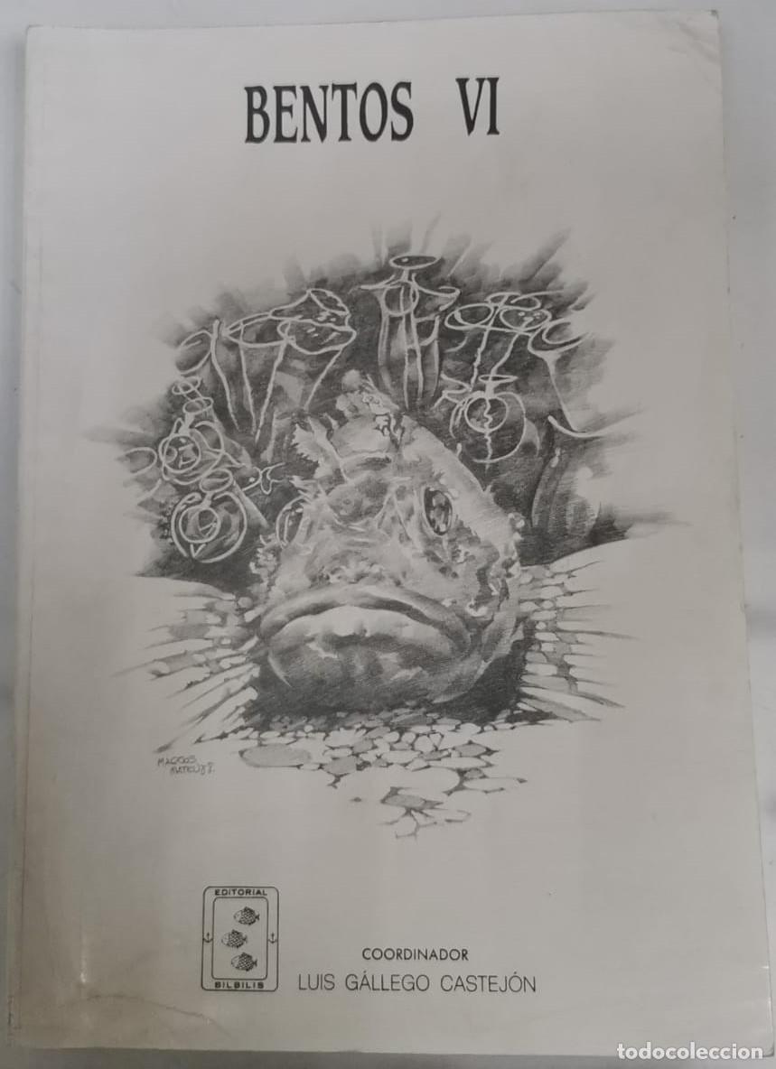 Libros: Bentos VI - Luis Gallego Castej&oacute;n - Foto 1