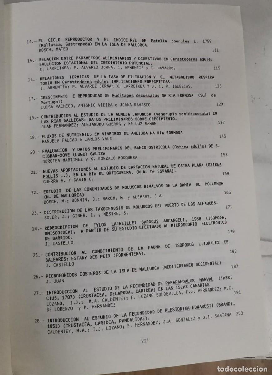 Libros: Bentos VI - Luis Gallego Castej&oacute;n - Foto 3