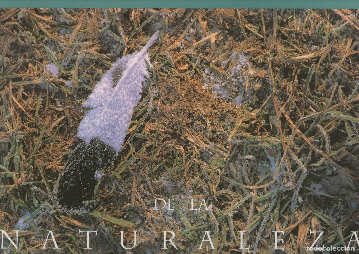 Libros: Escritores de la naturaleza - Ara&uacute;jo, Joaqu&iacute;n - Foto 1