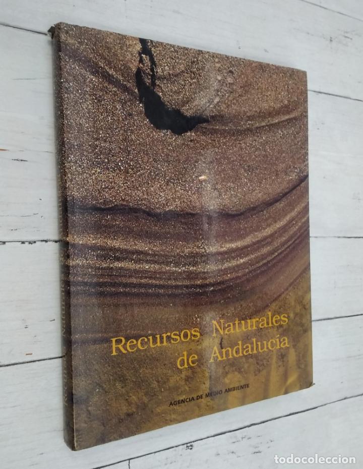 Libros: Recursos naturales de Andaluc&iacute;a - vvaa - Foto 1