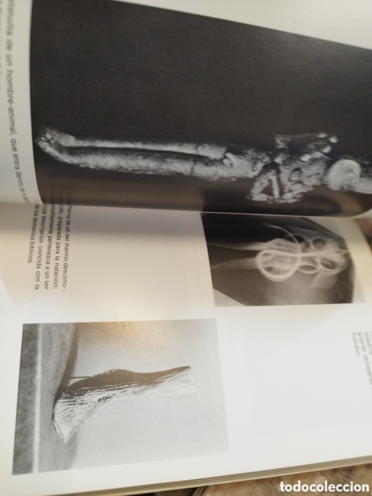 Libros: UN EXTRATERRESTRE LLAMADO DIOS - GOMEZ MARQUEZ,Manuel - Foto 8