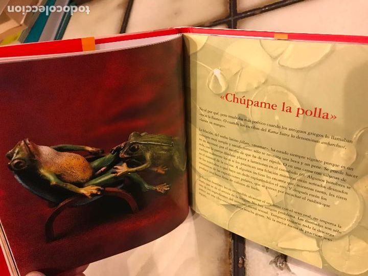 Libros: El libro del pene. Joseph Cohen. PEDIDO M&Iacute;NIMO 5&euro; - Foto 3