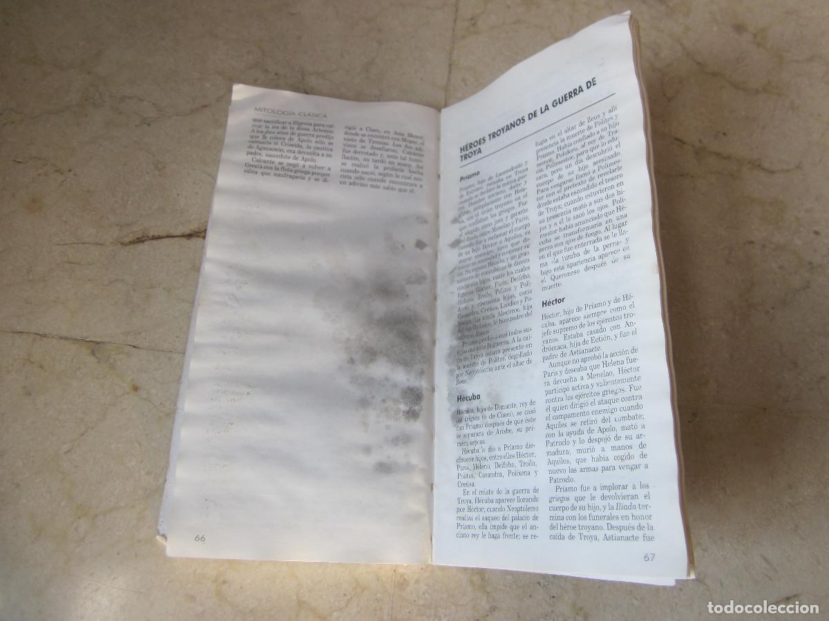 Libros: LA MITOLOGIA CLASICA - ACENTO EDITORIAL 1991 - Foto 3
