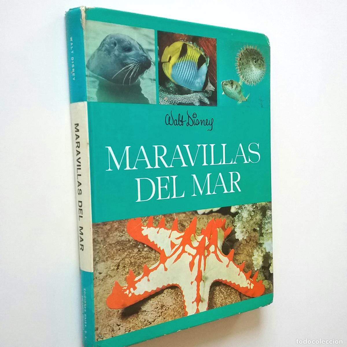 Libros: Walt Disney - Texto de Frank de Graff - Maravillas del mar - Foto 1