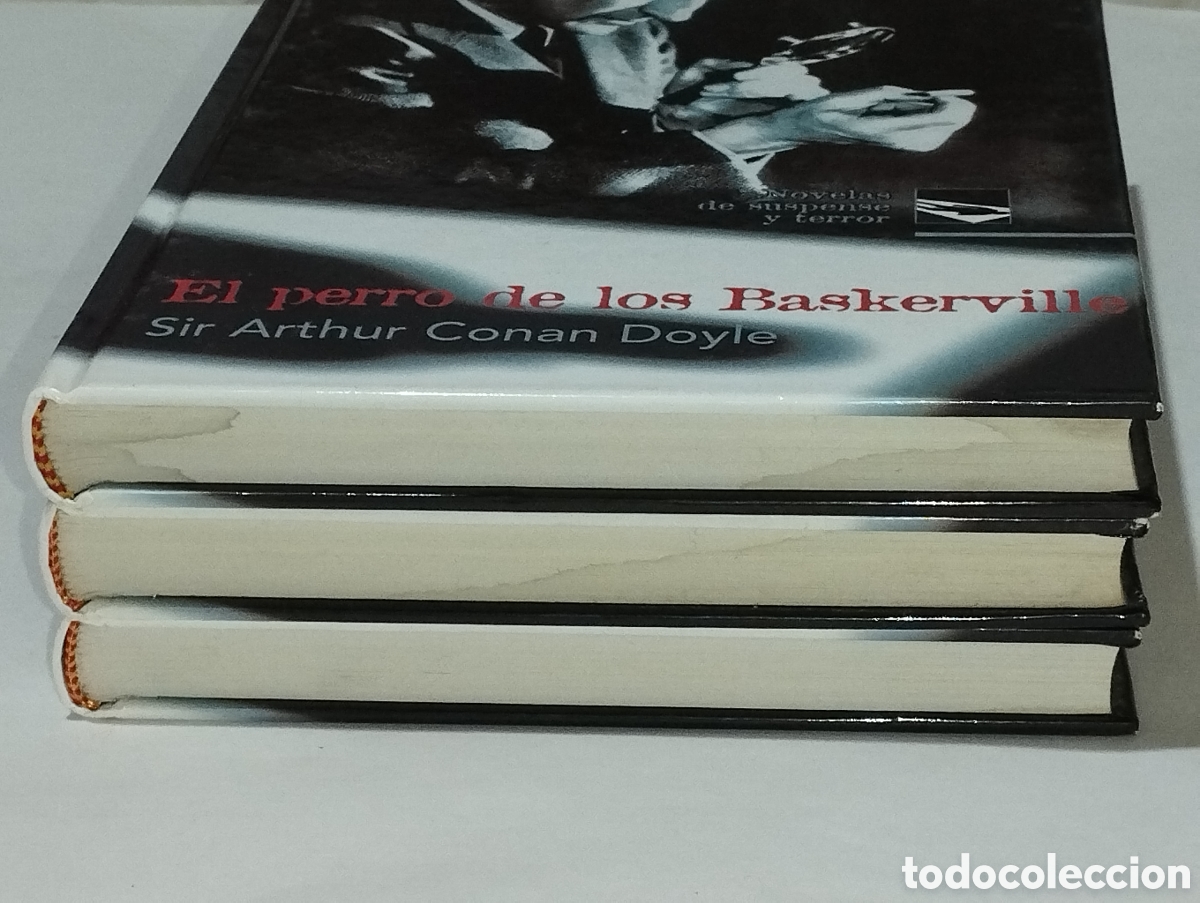 Libros: Lote 3 libros: Frankenstein&ndash; El perro de los Baskerville&ndash; El hotel de los horrores&ndash; Ediciones Rueda - Foto 14