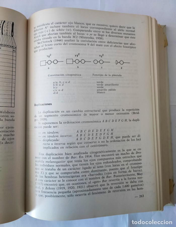 Libros: GEN&Eacute;TICA - Juan Ram&oacute;n Lacadena - Foto 2