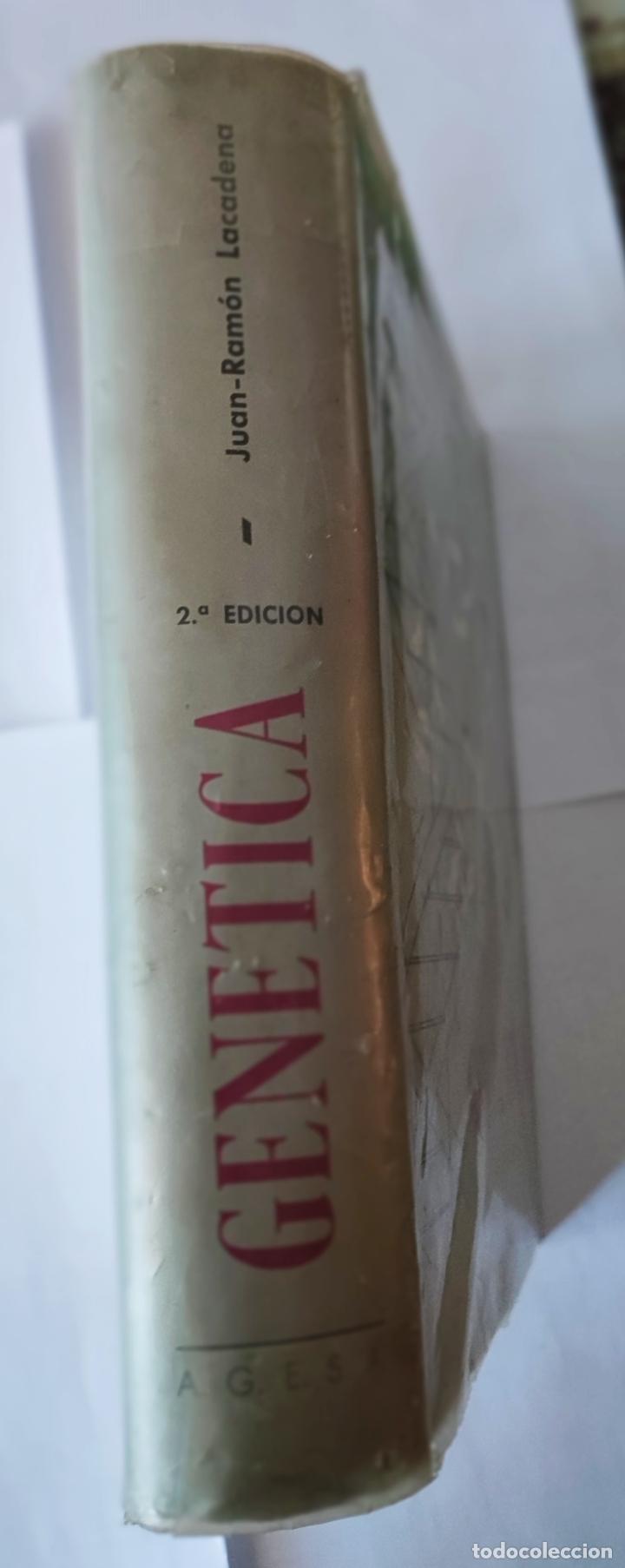 Libros: GEN&Eacute;TICA - Juan Ram&oacute;n Lacadena - Foto 3