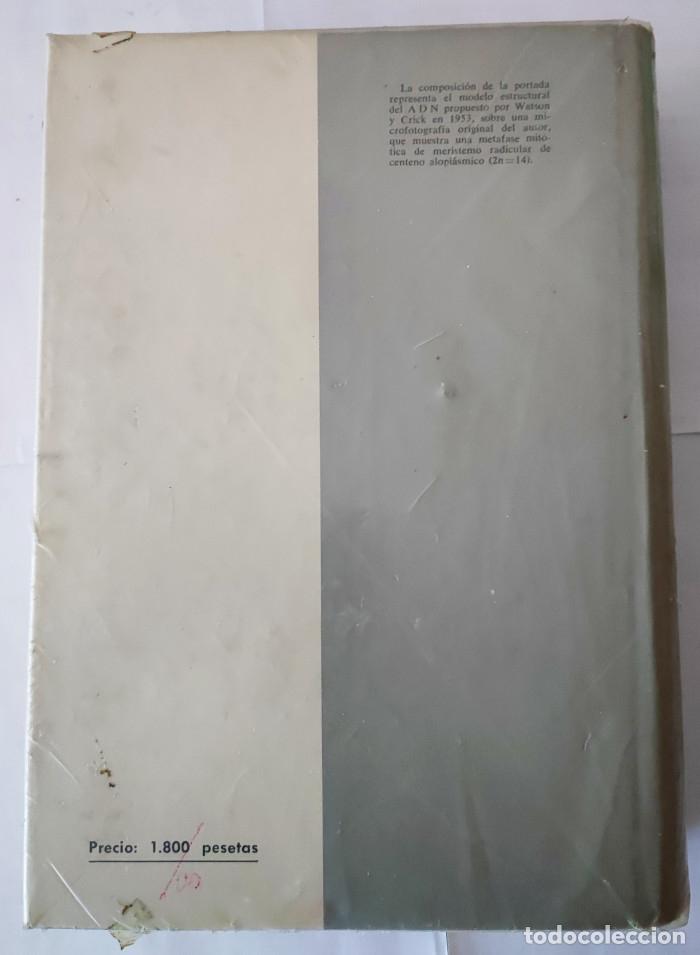 Libros: GEN&Eacute;TICA - Juan Ram&oacute;n Lacadena - Foto 4