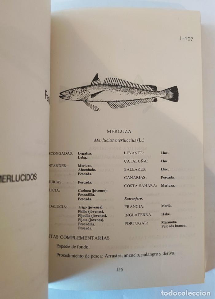 B&uuml;cher: NOMENCLATURA OFICIAL ESPA&Ntilde;OLA DE LOS ANIMALES MARINOS DE INTER&Eacute;S PESQUERO - VV.AA.