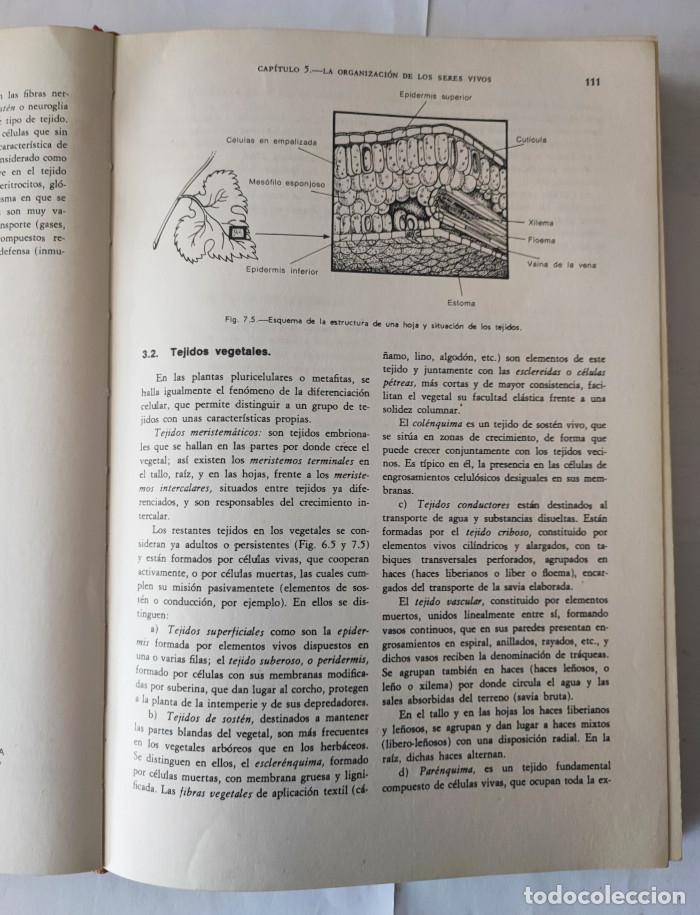 Libros: ELEMENTOS DE BIOLOG&Iacute;A - Jos&eacute; Planas Mestres - Foto 3