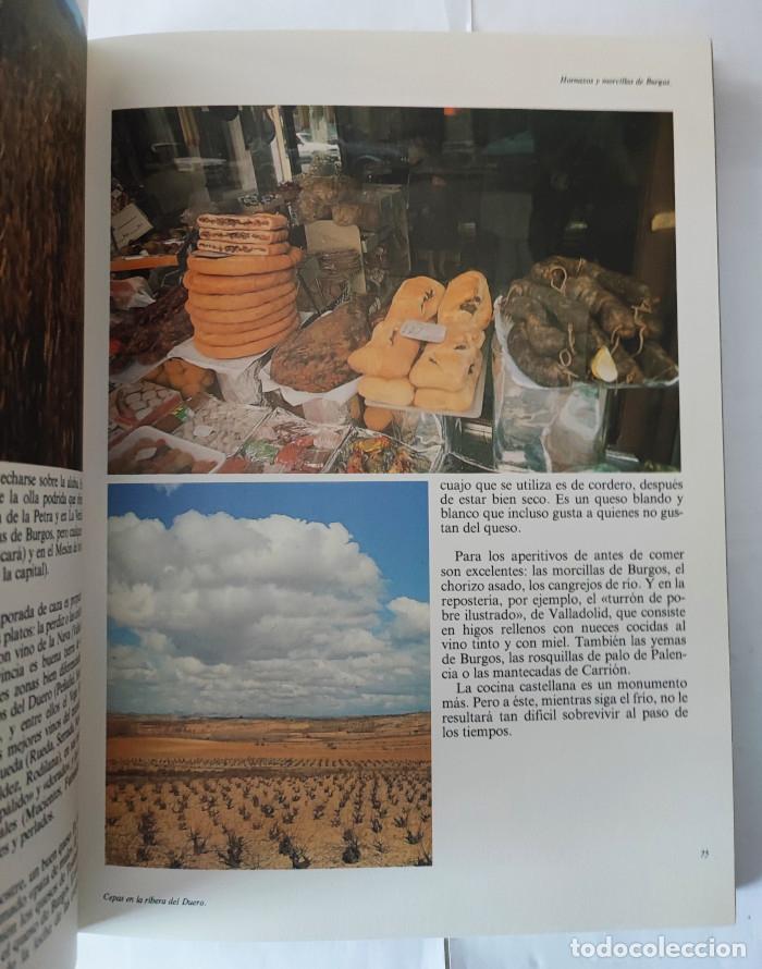 Libros: DESCUBRA ESPA&Ntilde;A PASO A PASO. CASTILLA Y LE&Oacute;N - VV.AA. - Foto 2