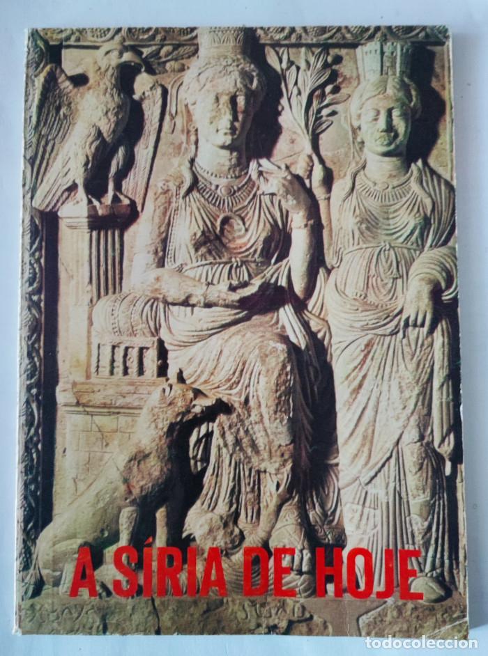 Livros em segunda m&atilde;o: A S&Iacute;RIA DE HOJE - VV.AA.