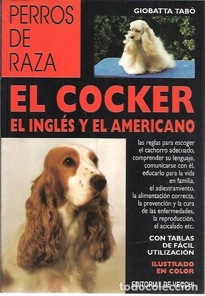 Libros: PERROS DE RAZA EL COCKER EL INGLES Y EL AMERICANO GIOBATTA TABO EDITORIAL DE VECCHI - Foto 1
